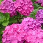 019.箱根登山鉄道